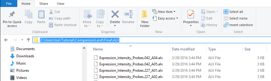alv export to local file