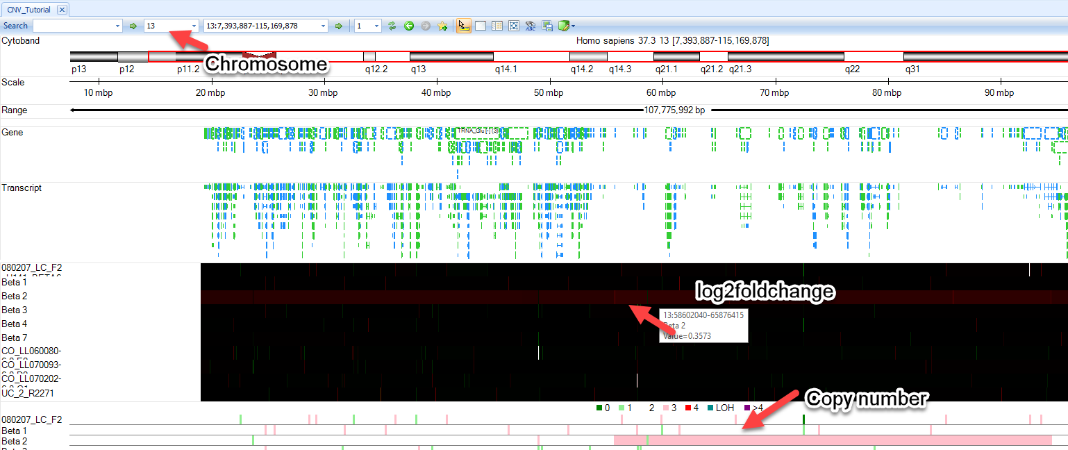 genome_view_png