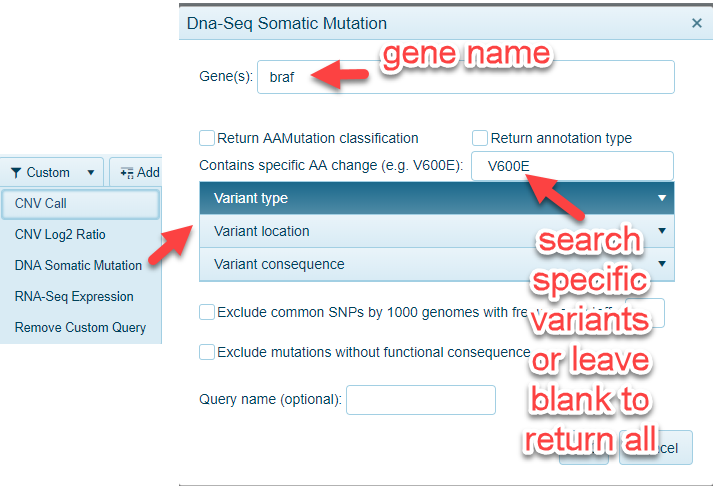 DNA-Seq_mutationquery_png