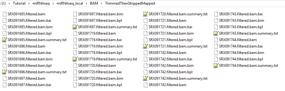 BAM_Output_Files